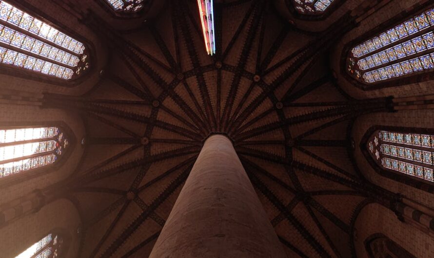 Les meilleures boutiques à découvrir à Toulouse