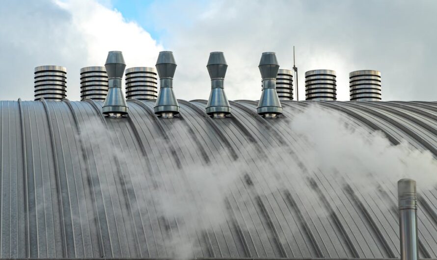 Découverte de la moutarderie Fallot à Dijon : immersion dans la boutique et l&rsquo;atelier