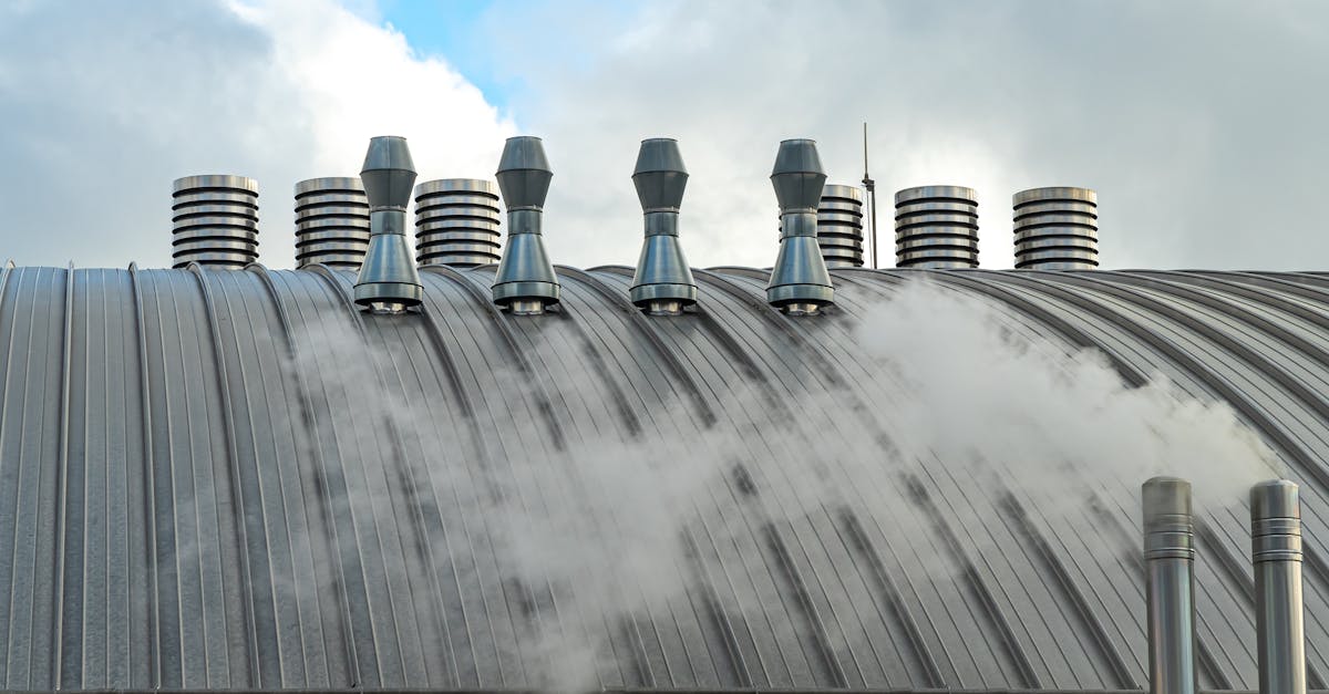 découvrez la fabrique de moutarde fallot, alliant tradition et savoir-faire authentique pour des saveurs uniques et artisanales.