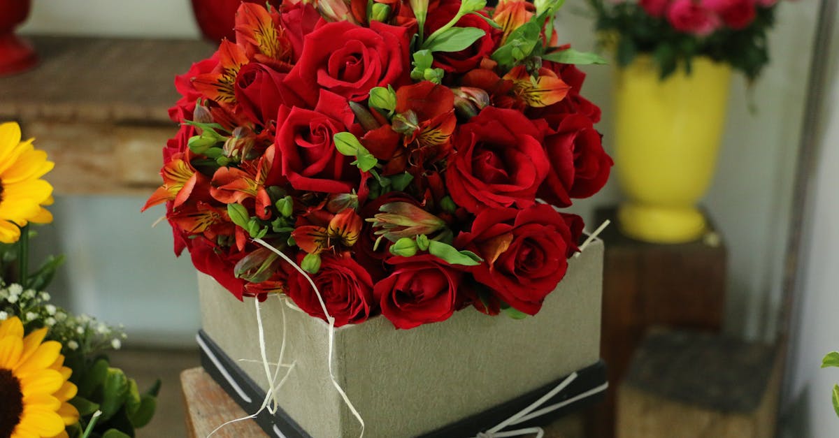 découvrez nos magnifiques compositions florales, idéales pour toutes les occasions et apportez une touche de fraîcheur et d'élégance à votre intérieur.