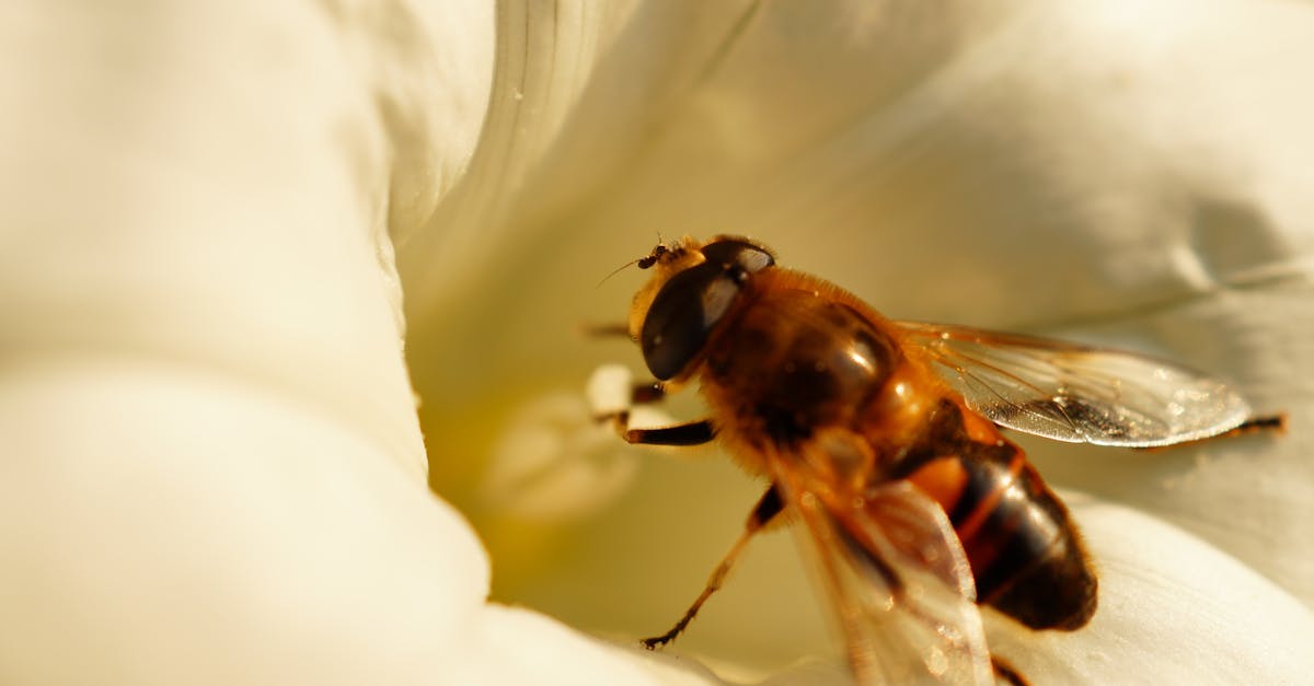 découvrez les meilleures offres sur les appareils électroménagers pour équiper votre maison à prix réduit. profitez de promotions exceptionnelles et d'économies toute l'année.