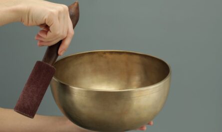 découvrez les meilleures offres sur les appareils électroménagers pour équiper votre maison à petits prix. promotions exclusives sur un large choix de produits de qualité.