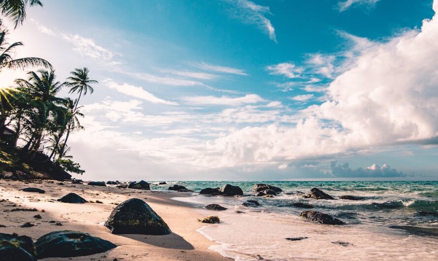 Tout savoir sur la boutique laposte : services, avantages et conseils pratiques