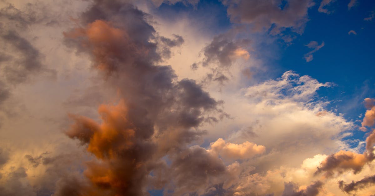 découvrez legami store : votre boutique en ligne pour des articles de papeterie, accessoires tendance et cadeaux originaux qui allient style et créativité.