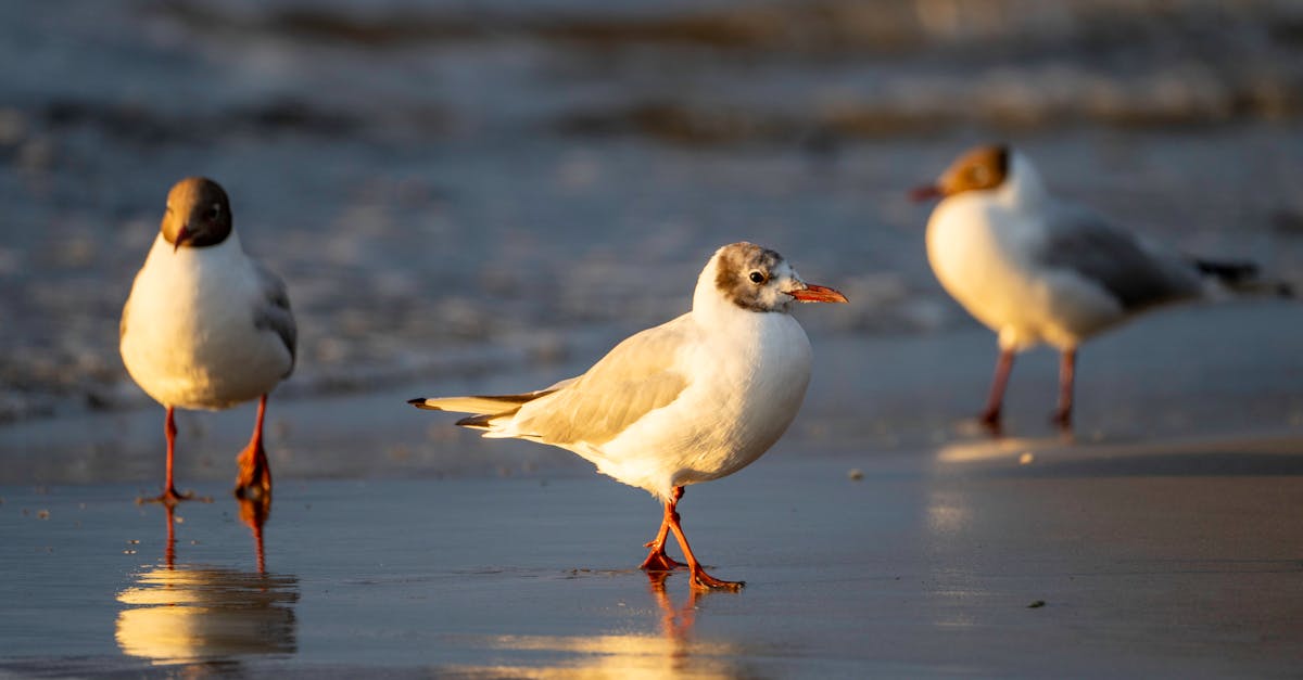 découvrez comment ouvrir une boutique etsy rentable avec nos conseils pratiques pour maximiser vos ventes et attirer plus de clients.