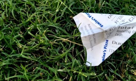 découvrez nos créations originales alliant créativité et innovation pour des designs uniques et inspirants.