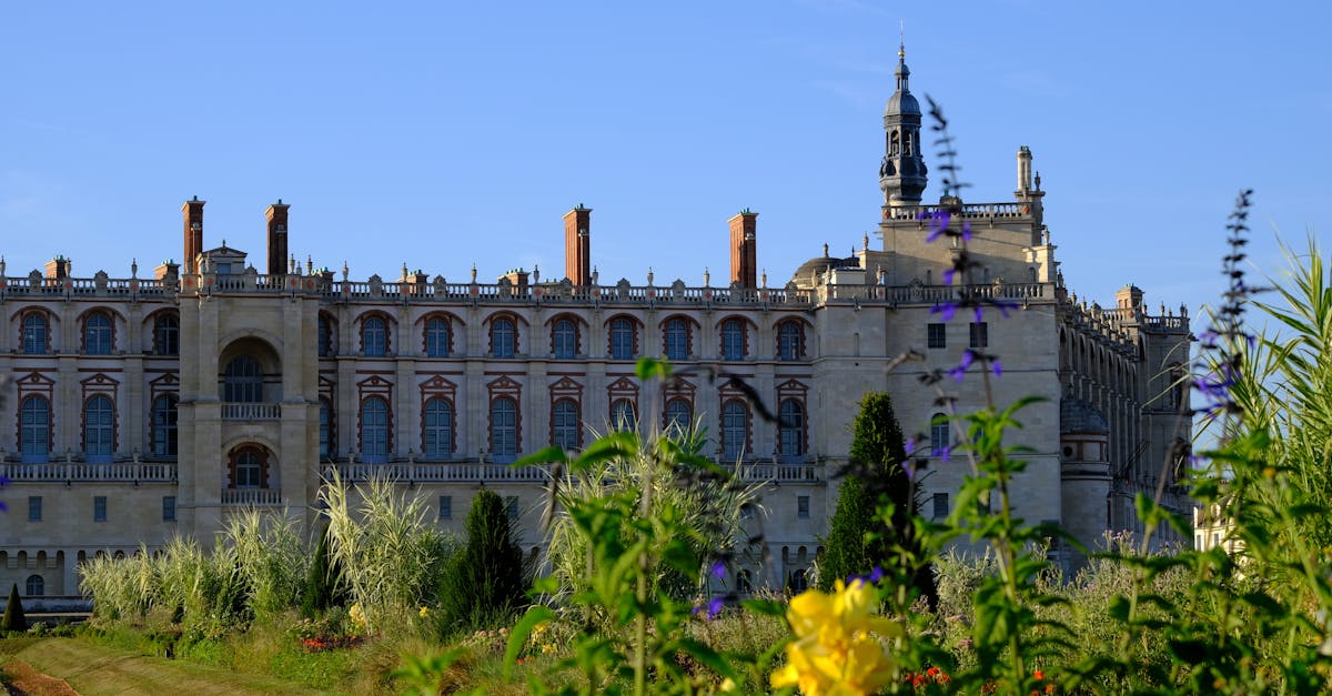 découvrez la boutique officielle du paris saint-germain : produits exclusifs, maillots, vêtements et accessoires pour tous les fans du psg.