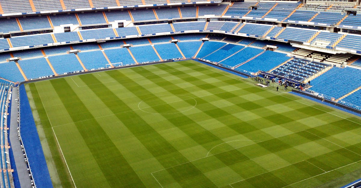 découvrez le magasin officiel du stade rennais : vêtements, accessoires et souvenirs pour tous les fans du club breton.