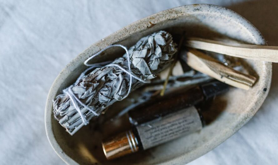 Découvrez l&rsquo;univers sensoriel de rituals boutique : avis, produits phares et conseils d’achat