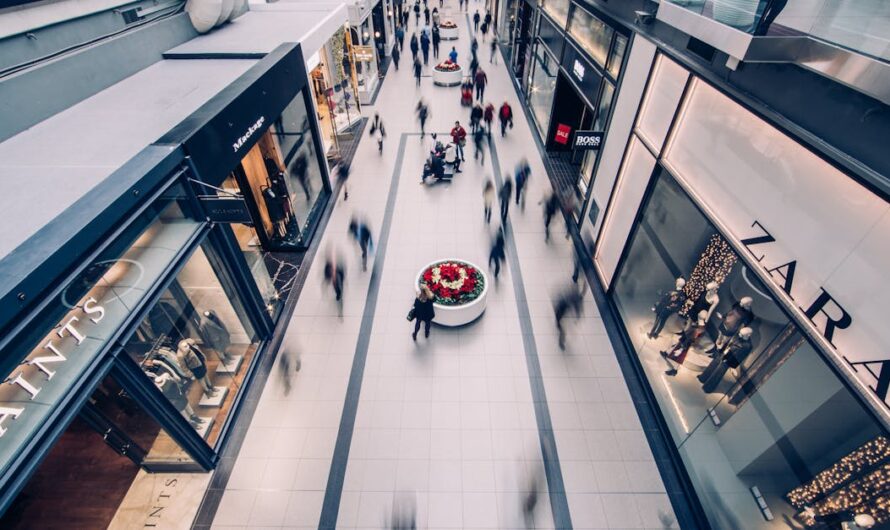 Découvrir la boutique section paloise : produits phares et conseils d’achat