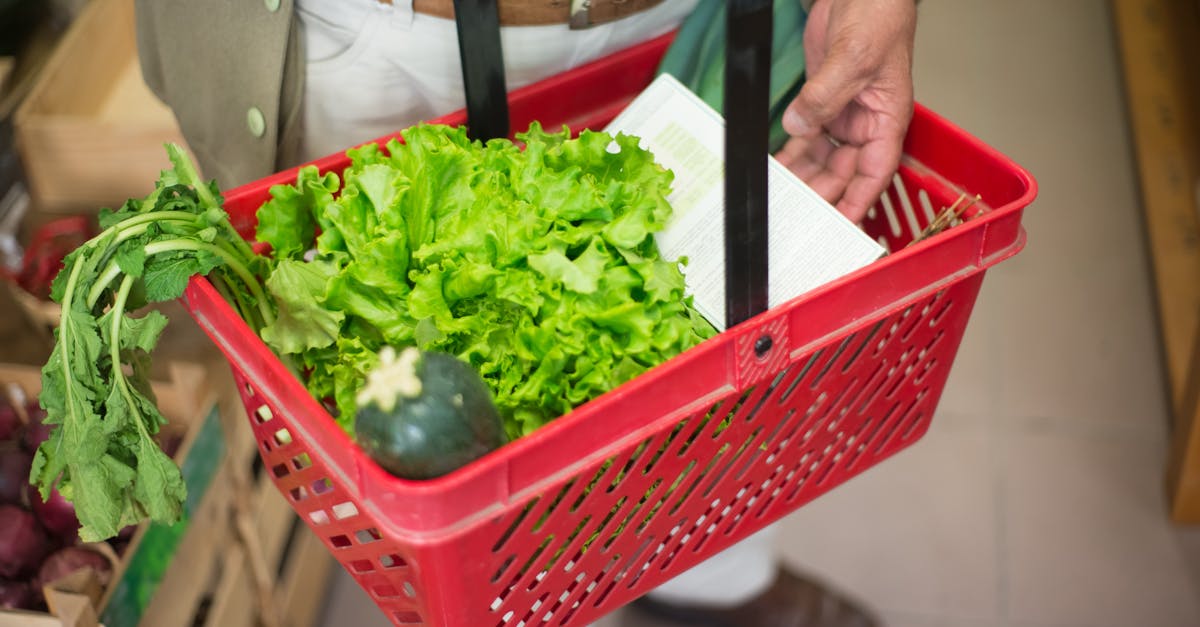 découvrez nos conseils et astuces pour un shopping durable, alliant écologie, éthique et économies responsables.