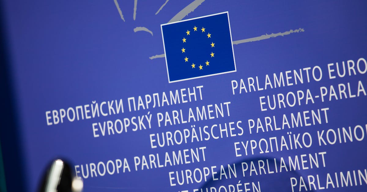 découvrez la boutique officielle ubb : produits exclusifs, qualité garantie et nouveautés incontournables pour tous les fans du club.