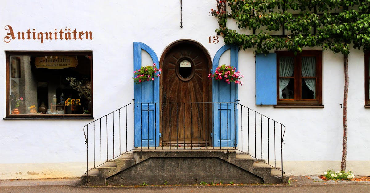 découvrez alpine shop, votre boutique spécialisée en équipements et accessoires de montagne pour des aventures alpines inoubliables. qualité et expertise au rendez-vous.