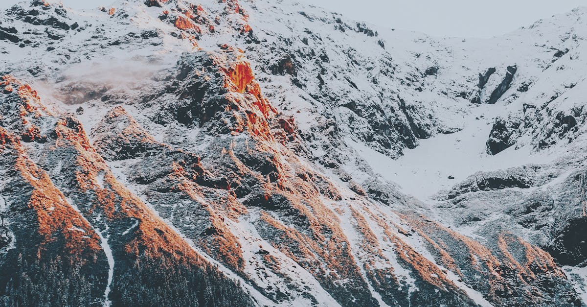 découvrez alpinegear, votre spécialiste en équipements de montagne de haute qualité pour toutes vos aventures outdoor. matériel fiable, durable et performant.