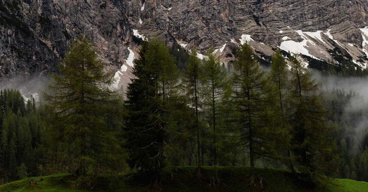 découvrez alpinegear, votre spécialiste en équipements de montagne alliant performance et qualité pour toutes vos aventures en plein air.