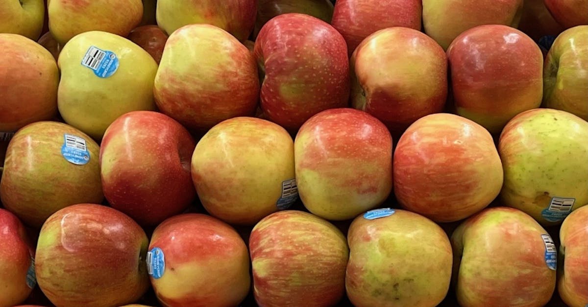 découvrez l'expérience unique de l'apple store : innovation, conseils personnalisés et assistance technique pour tous vos produits apple.