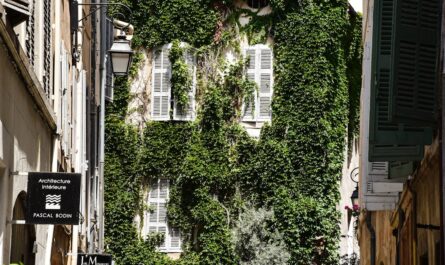 découvrez le magasin aroma-zone à aix-en-provence, spécialiste des ingrédients naturels pour cosmétiques maison et du bien-être au naturel.