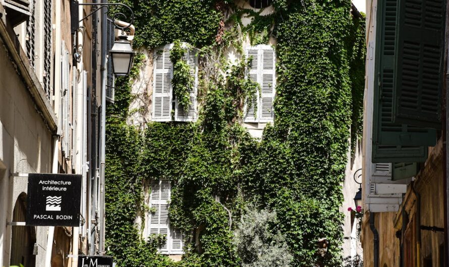 Découvrir la boutique Aroma-Zone à Aix-en-Provence dans l&rsquo;hôtel Boyer d&rsquo;Éguilles