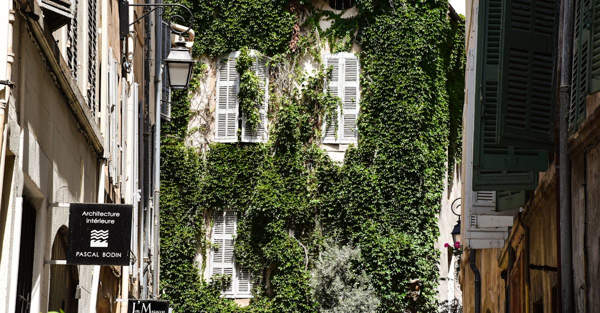 découvrez le magasin aroma-zone à aix-en-provence, spécialiste des ingrédients naturels pour cosmétiques maison et du bien-être au naturel.