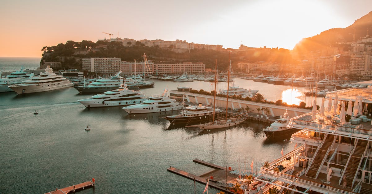 découvrez la boutique officielle as monaco shop essentials : vêtements, accessoires et produits incontournables pour tous les fans du club. supportez l'as monaco avec style !
