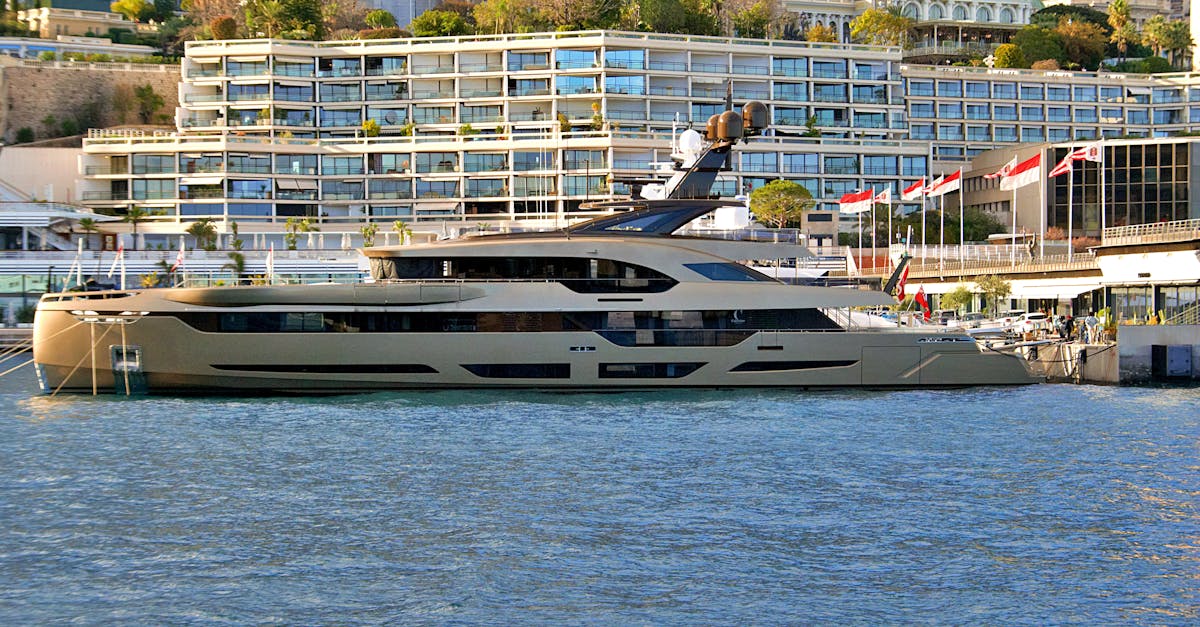 découvrez la boutique officielle as monaco shop essentials : vêtements, accessoires et articles indispensables pour les fans du club. supportez votre équipe avec style !