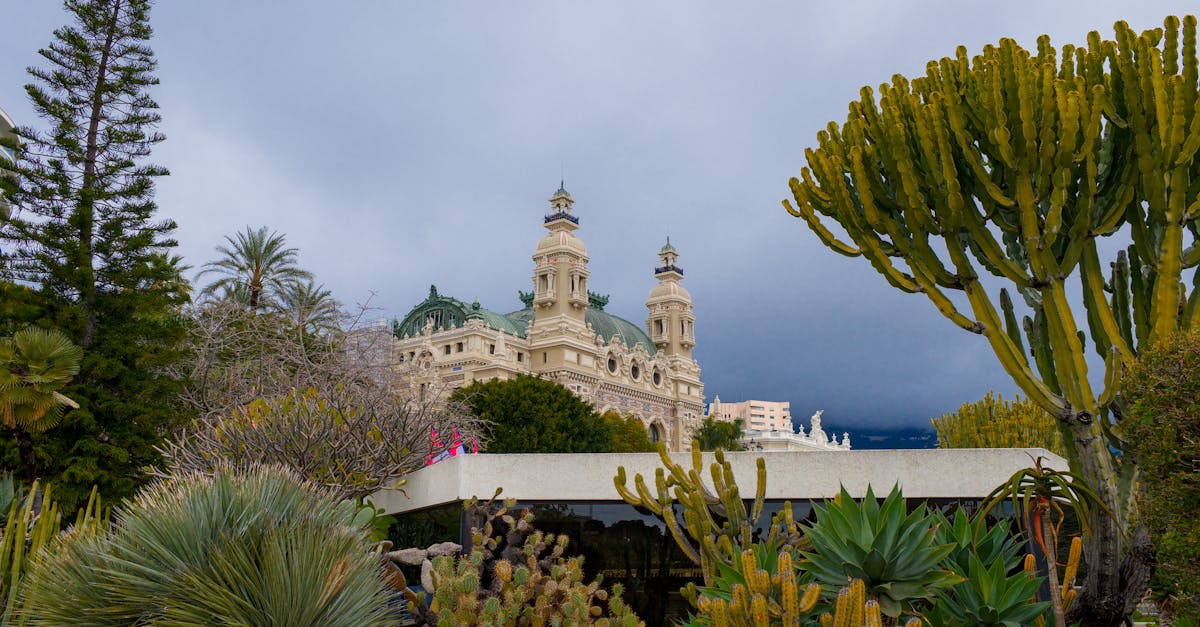 découvrez la boutique officielle de l'as monaco : vêtements, accessoires et équipements pour tous les fans du club de football monégasque.