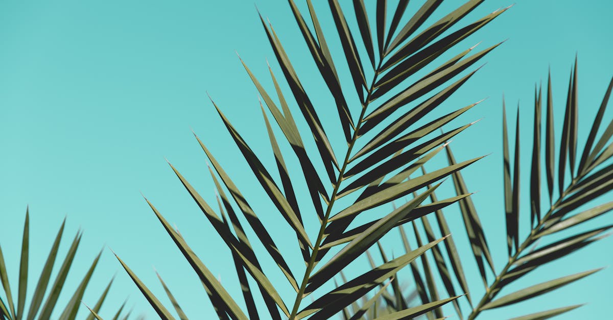 découvrez les meilleurs volets pour votre maison : qualité, durabilité et design élégant pour protéger et embellir votre intérieur.