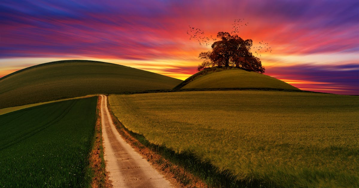 découvrez les meilleurs volets pour sublimer votre maison : qualité, durabilité et esthétique au rendez-vous.