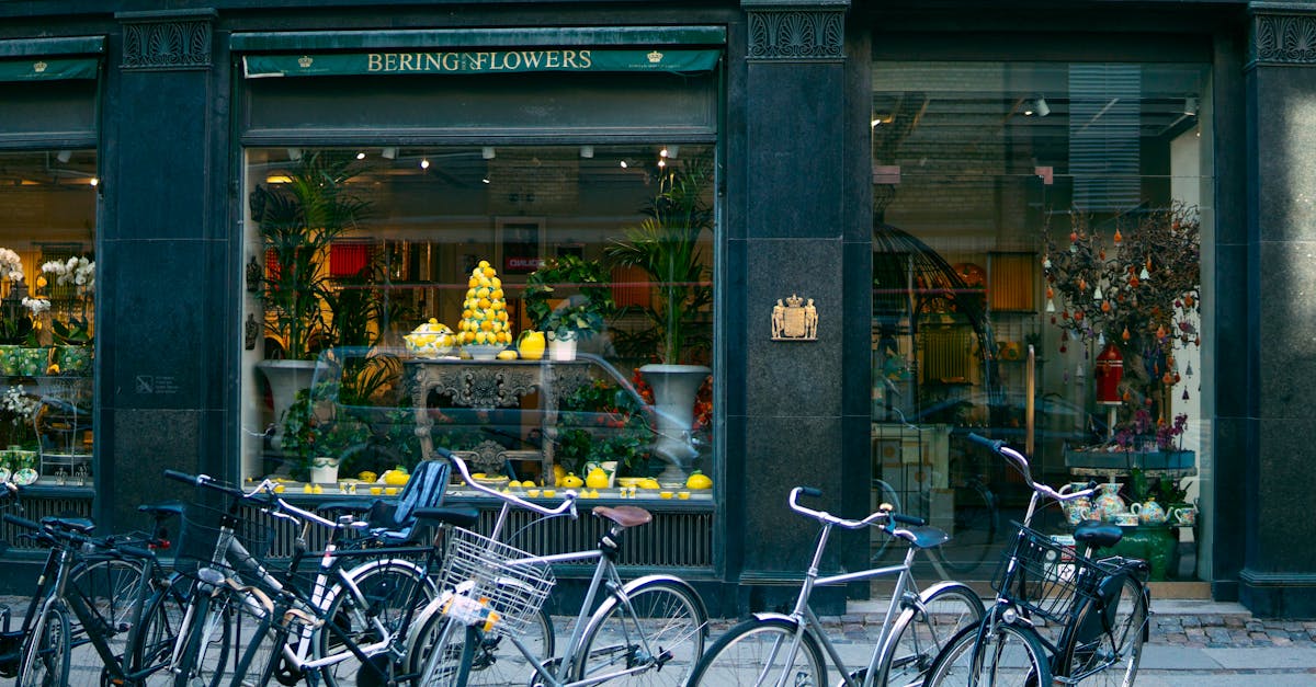 découvrez notre magasin de vélos : large choix de bicyclettes, accessoires et équipements pour tous les cyclistes, débutants ou confirmés.