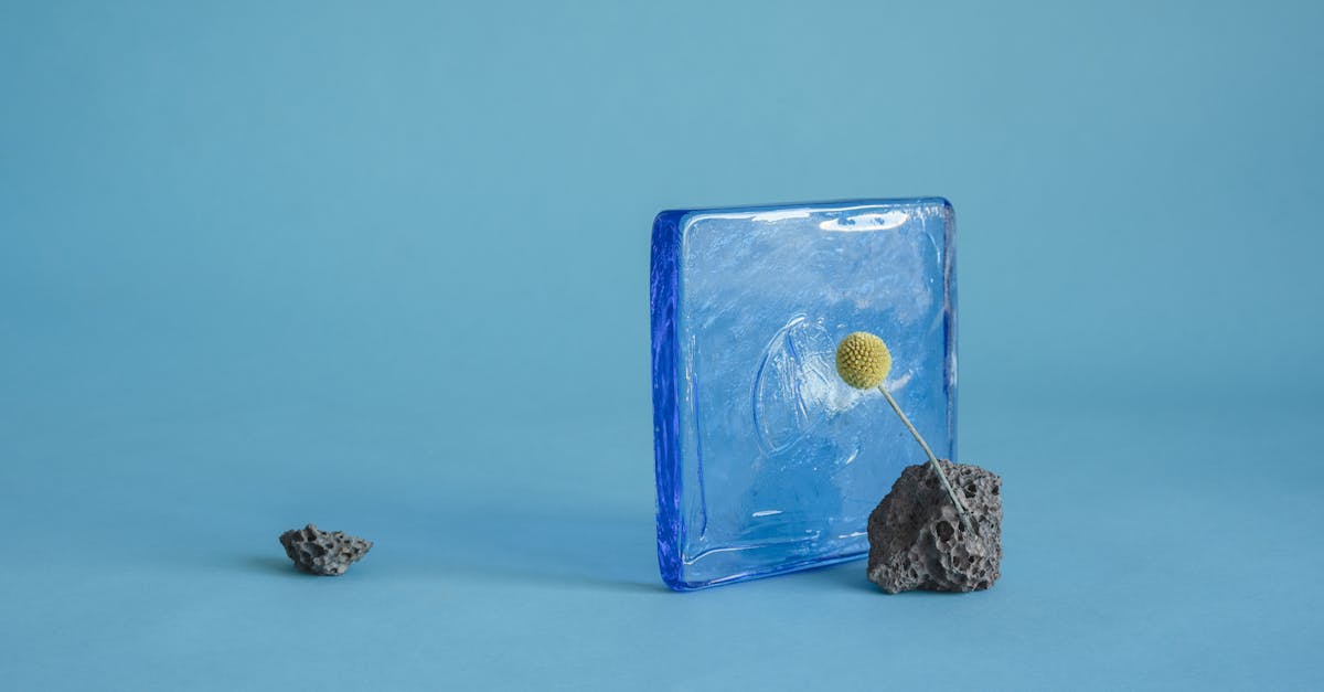 découvrez billy j boutique australia, votre destination incontournable pour des vêtements et accessoires stylés, alliant qualité et tendance australienne.