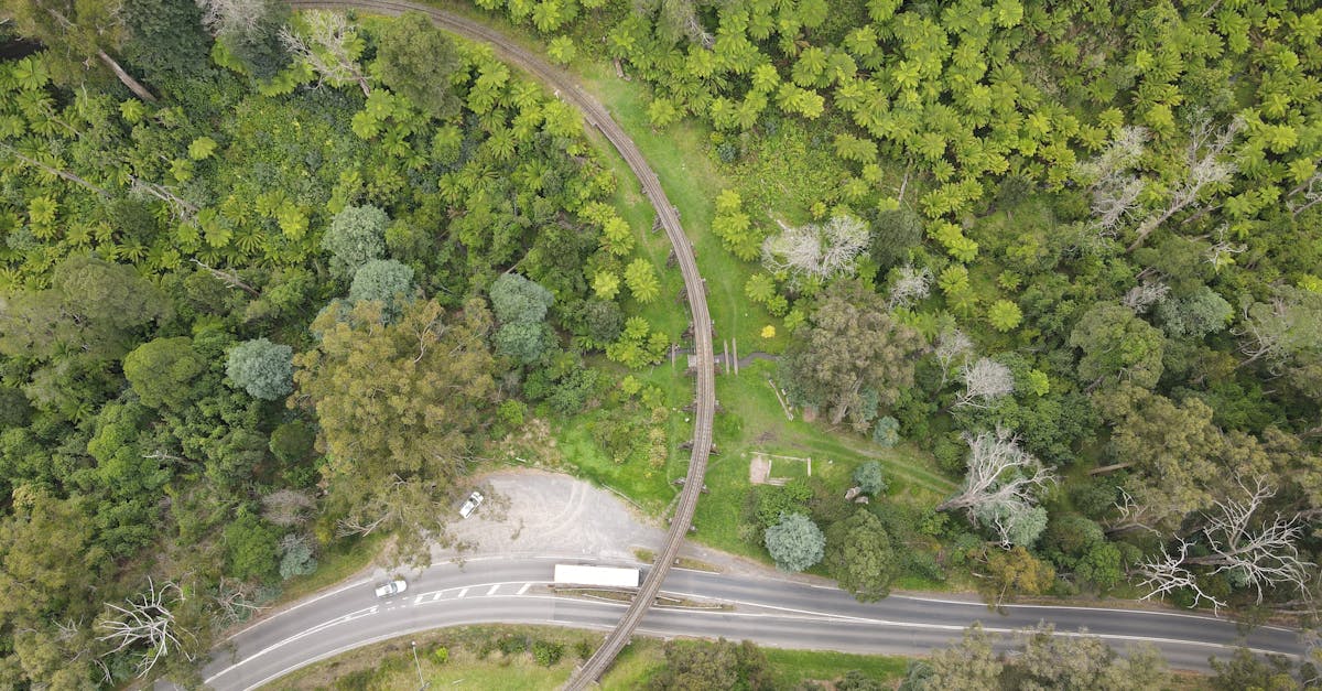 découvrez billy j boutique australia, votre destination en ligne pour des vêtements et accessoires tendance alliant style australien et qualité exceptionnelle.