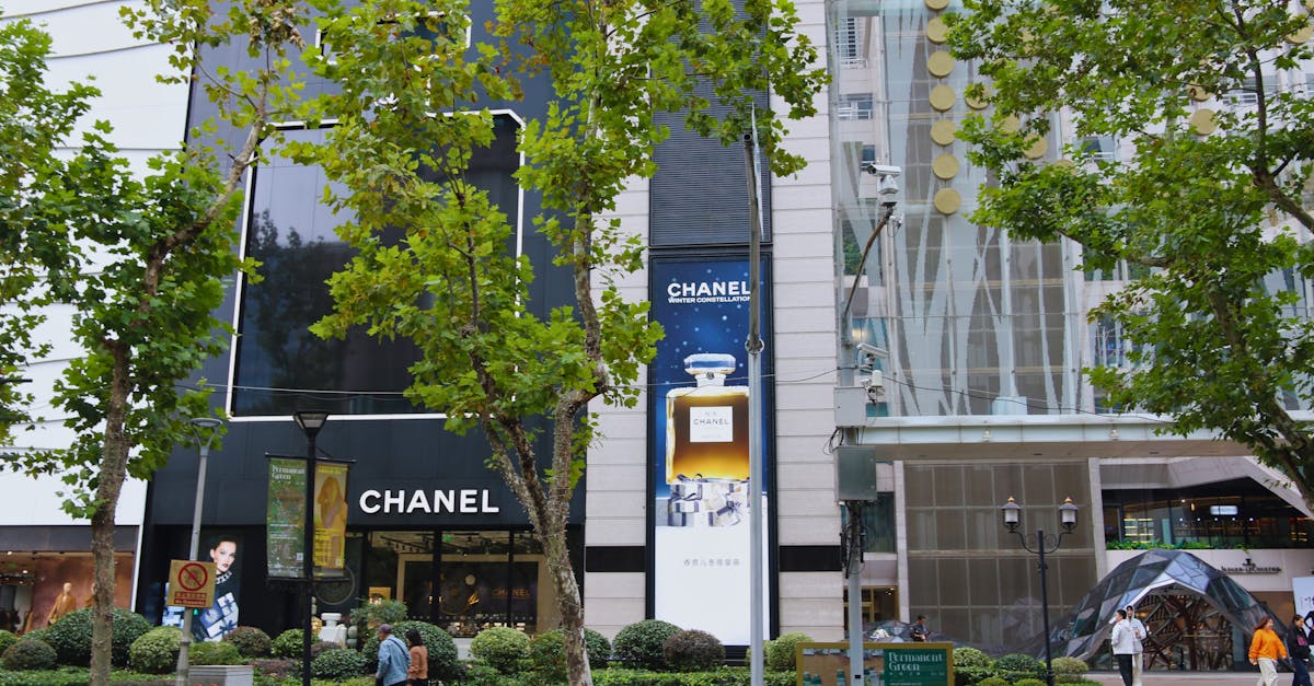 découvrez la boutique chanel, symbole d'élégance et de luxe intemporel. explorez les collections exclusives de prêt-à-porter, accessoires et parfums emblématiques.