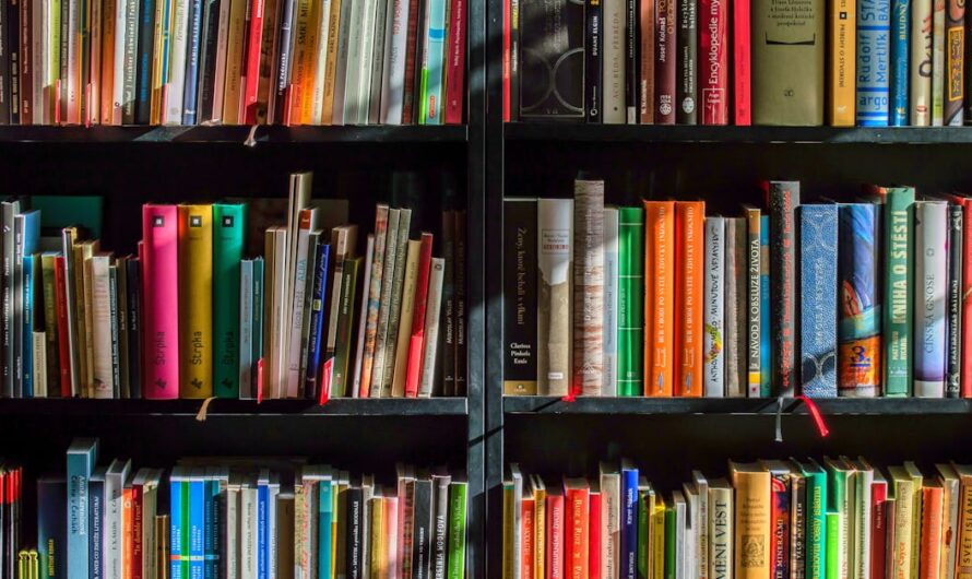 Les meilleurs articles à découvrir dans la boutique des chrétiens