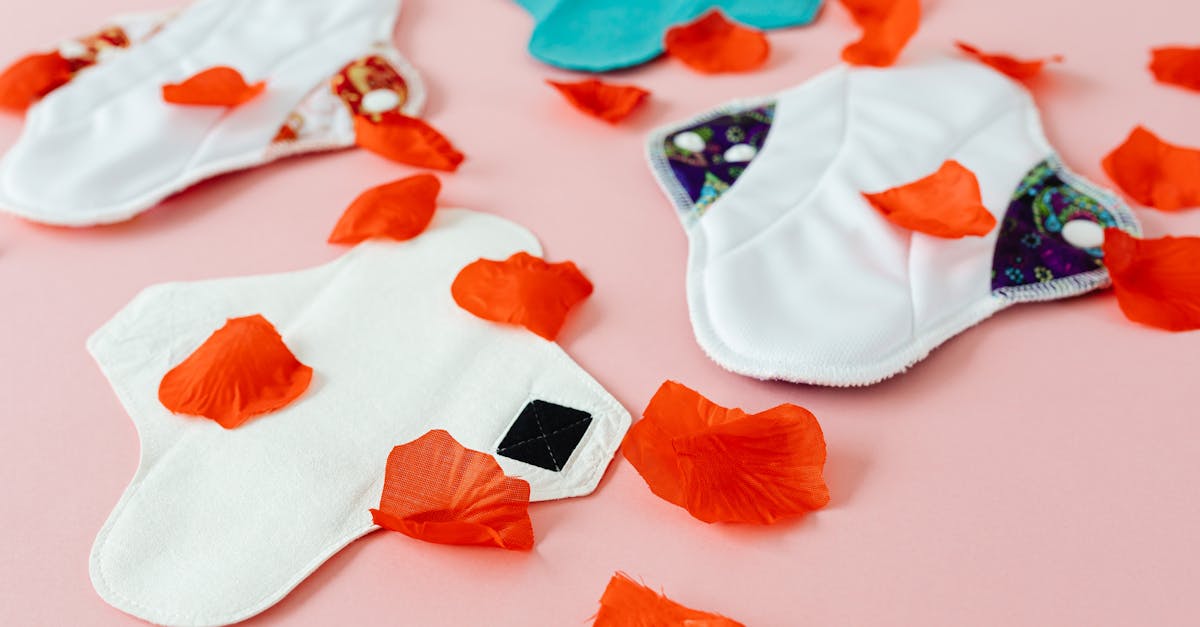 découvrez notre gamme de produits éco-responsables conçus pour préserver l'environnement tout en répondant à vos besoins quotidiens.