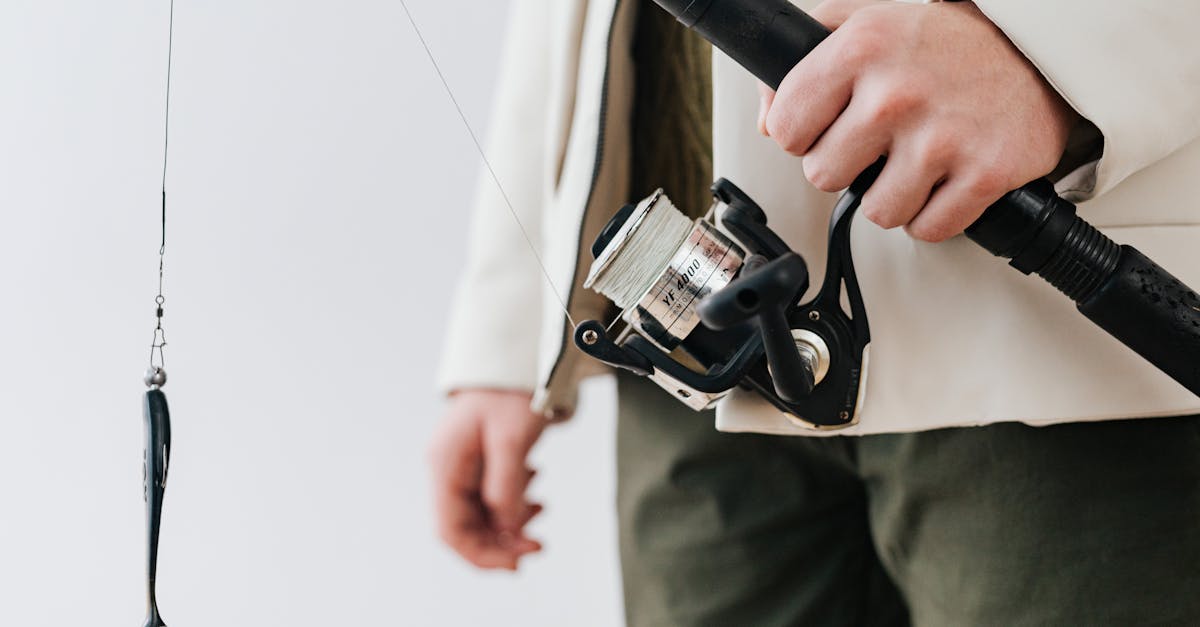 découvrez notre sélection d'équipements de pêche de qualité pour tous les niveaux. cannes, moulinets, leurres et accessoires pour réussir toutes vos sorties.