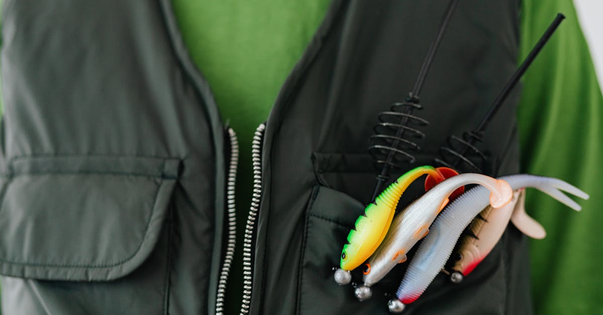 découvrez notre sélection d'équipements de pêche de qualité pour tous les niveaux. cannes, moulinets, leurres et accessoires pour réussir toutes vos sorties.