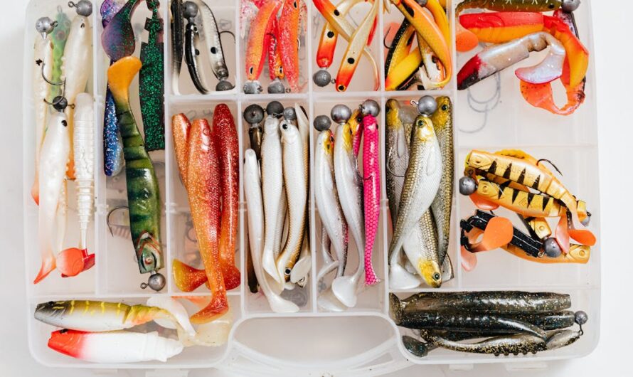 Pecheur com boutique : ce qu’il faut savoir avant d’acheter votre équipement de pêche