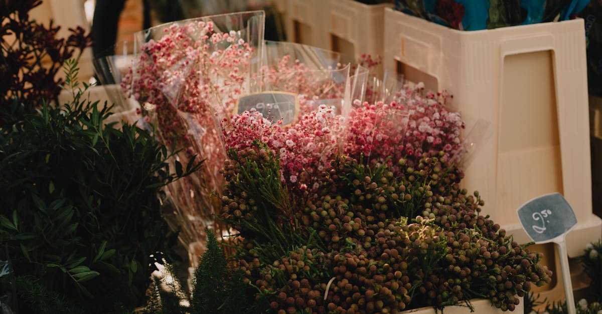 découvrez notre boutique de fleurs avec un large choix de bouquets frais, compositions florales uniques et livraison rapide pour toutes vos occasions.