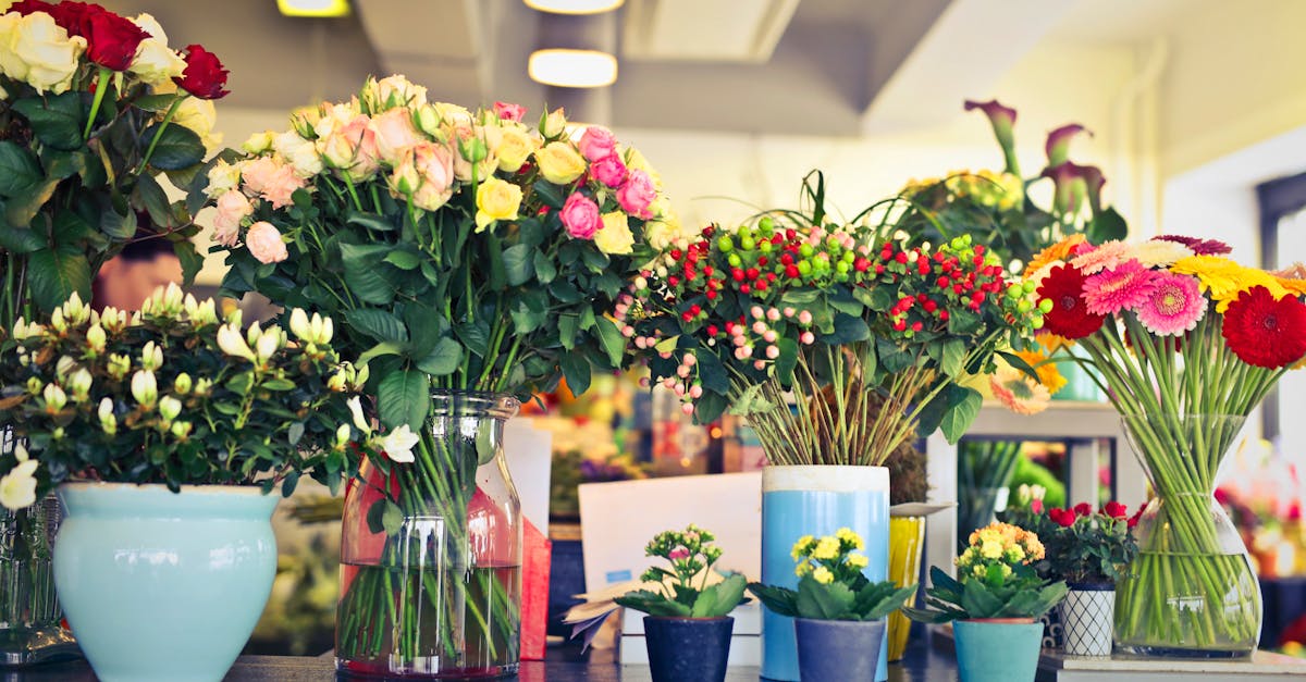 découvrez notre boutique de fleurs, offrant un large choix de bouquets frais et créations florales pour toutes occasions. livraison rapide et service personnalisé.