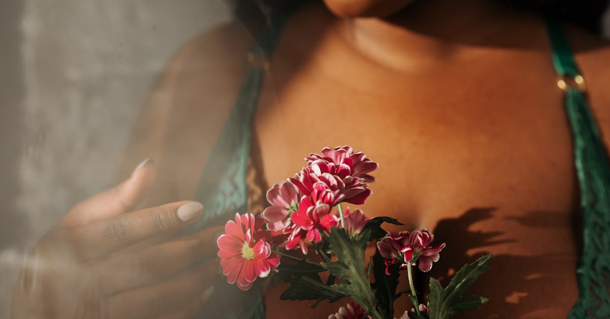 découvrez notre collection élégante de lingerie pour sublimer votre silhouette avec confort et style. choisissez parmi une variété de modèles raffinés et tendances.