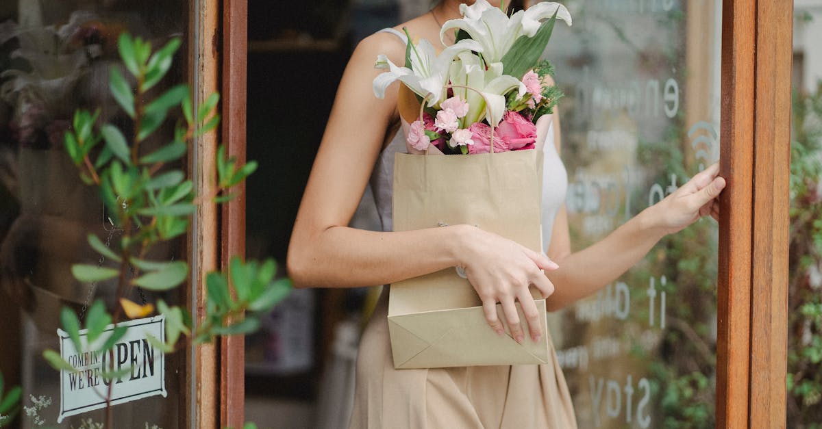 découvrez 'little shop of horrors', une comédie musicale captivante mêlant humour, romance et horreur autour d'une plante carnivore aux pouvoirs extraordinaires.