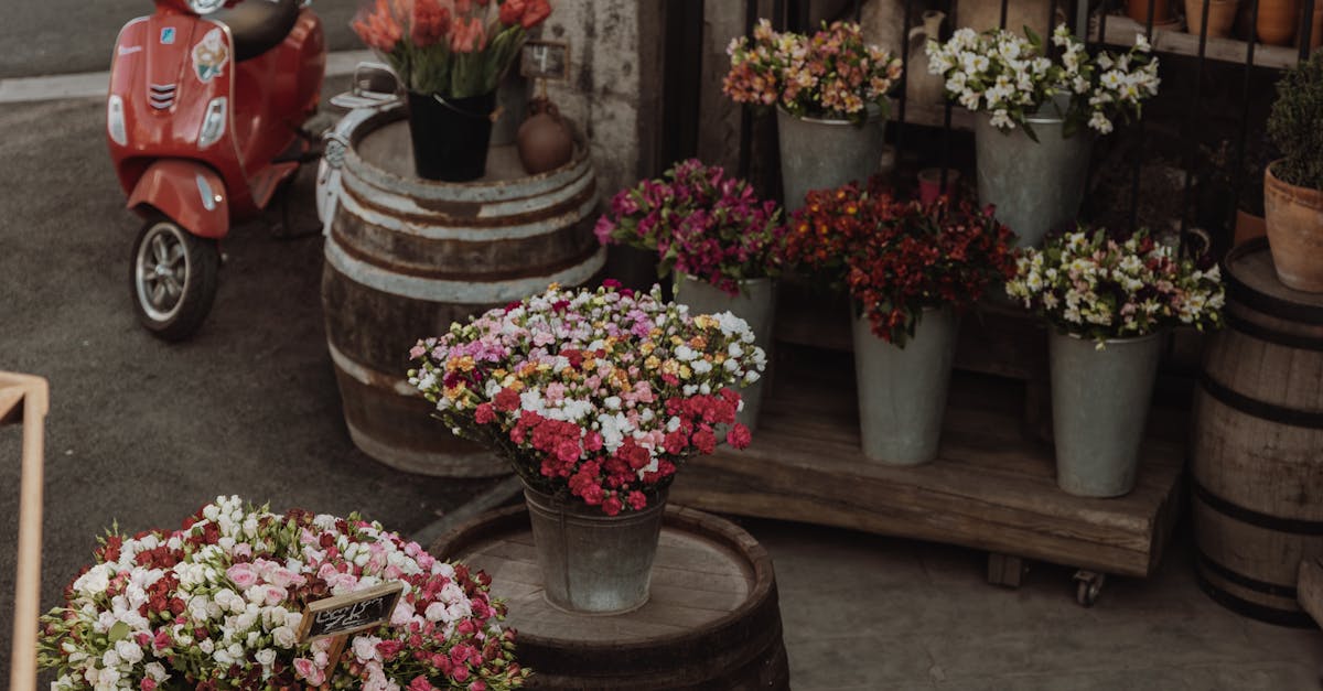 découvrez 'little shop of horrors', une comédie musicale culte alliant humour, horreur et musique entraînante. suivez les aventures hilarantes d'une boutique florissante pas comme les autres.