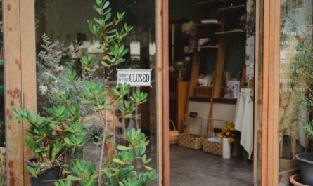 découvrez 'little shop of horrors', la comédie musicale culte mêlant humour, horreur et musique entraînante, autour d'une plante carnivore pas comme les autres.