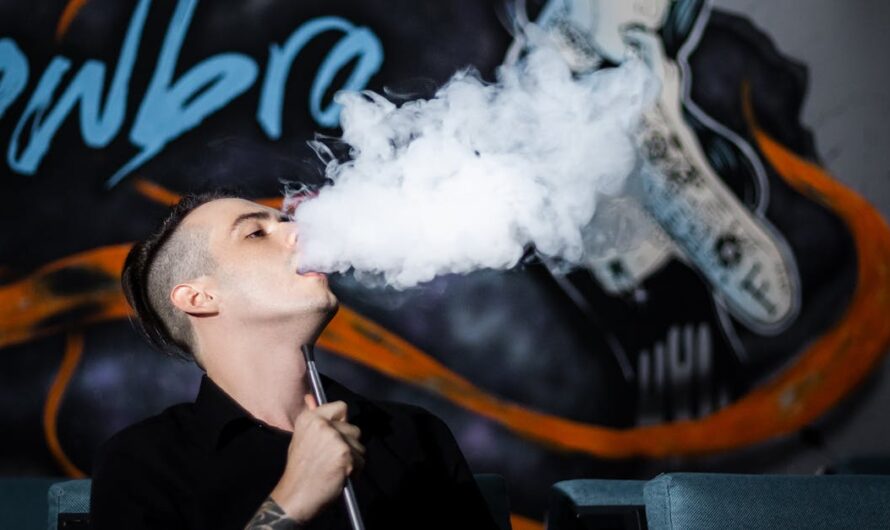 tout savoir sur le petit vapoteur boutique en ligne : avis, choix et services