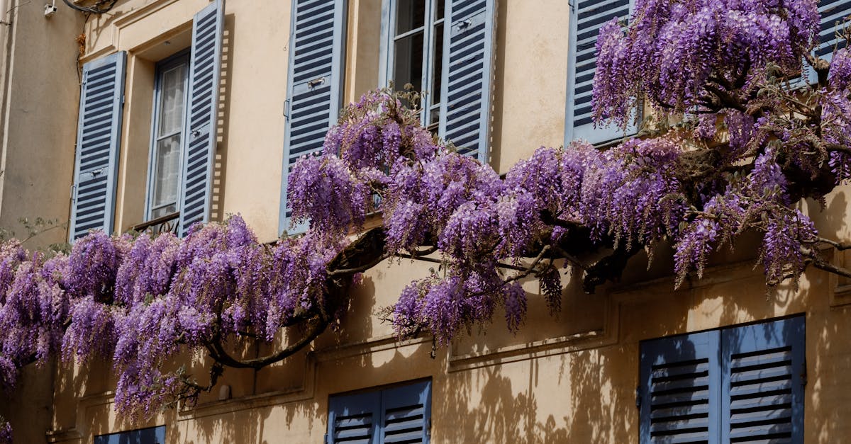 savourez l'authenticité de marseille avec notre savon traditionnel, fabriqué selon des méthodes artisanales pour une peau douce et naturellement protégée.