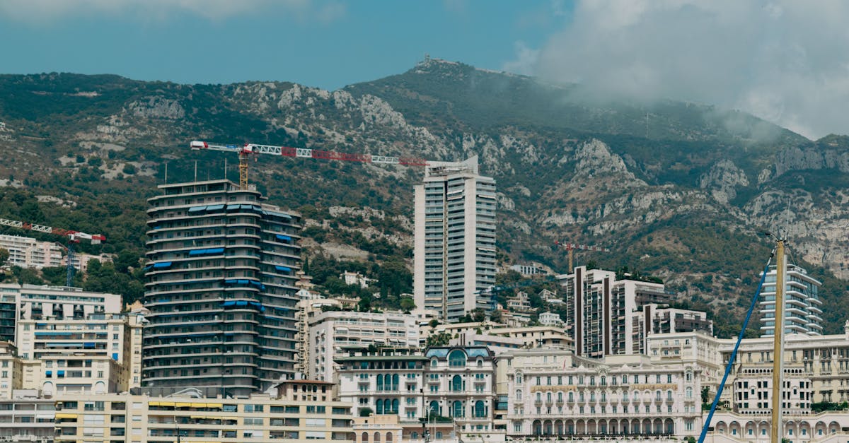 découvrez les essentiels du monaco fc shop : vêtements, accessoires et équipements officiels pour tous les fans du club.