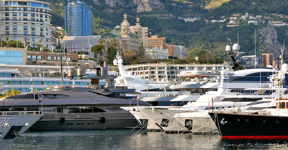 découvrez les essentiels du monaco fc shop : maillots officiels, accessoires et vêtements pour tous les fans du club.