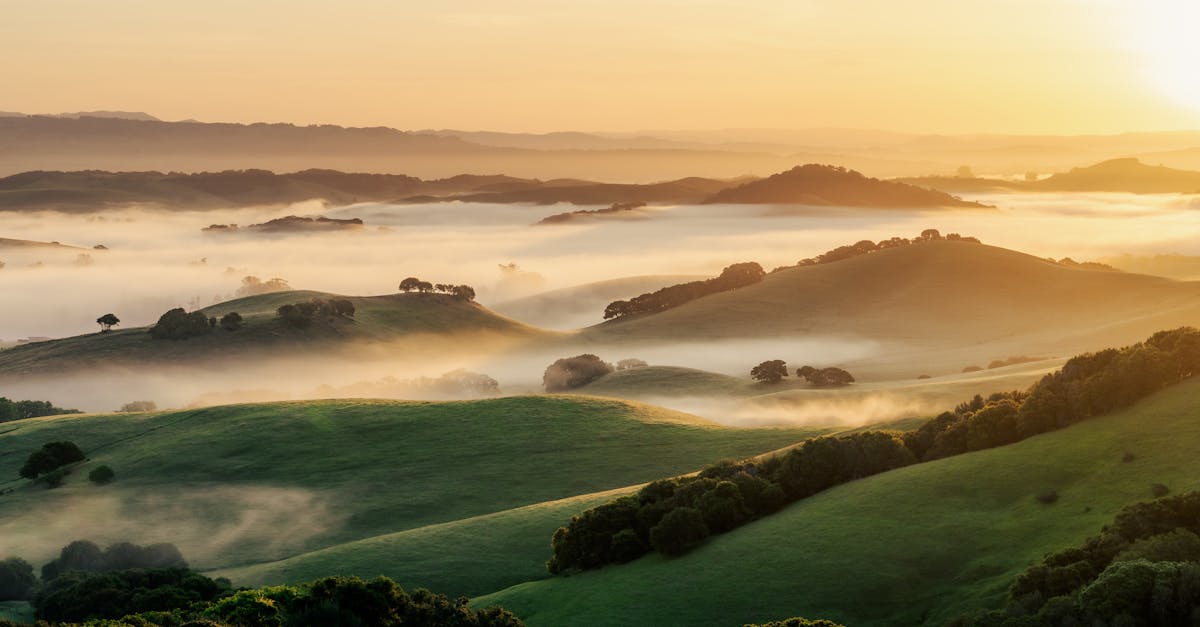 découvrez les temps forts du matin avec notre sélection d'actualités, tendances et moments clés pour bien commencer votre journée.