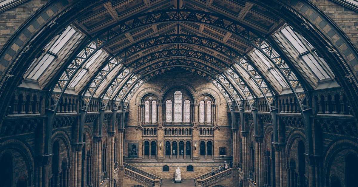 découvrez notre boutique de musée offrant une sélection unique de souvenirs, livres, et objets d'art inspirés par nos expositions.