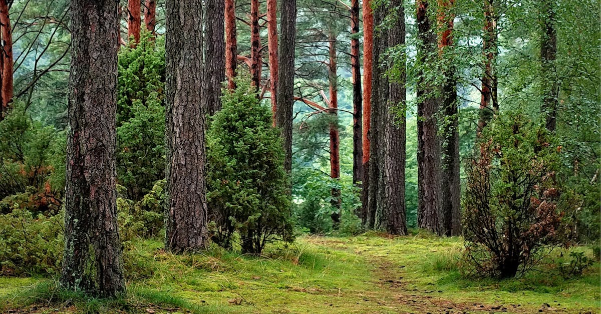 découvrez la beauté et la diversité de la nature, un univers riche en paysages, faune et flore qui inspire sérénité et émerveillement.